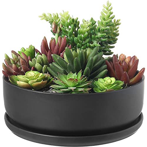 MyGift 8 Inch Black Ceramic Indoor Plant Pot with Drainage Hole, Decorative Flower Succulent Planter Bowl with Removable Saucer MyGift 8 Inch Black Ceramic Indoor Plant Pot with Drainage Hole, Decorative Flower Succulent Planter Bowl with Removable Saucer