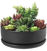 MyGift 8 Inch Black Ceramic Indoor Plant Pot with Drainage Hole, Decorative Flower Succulent Plan...