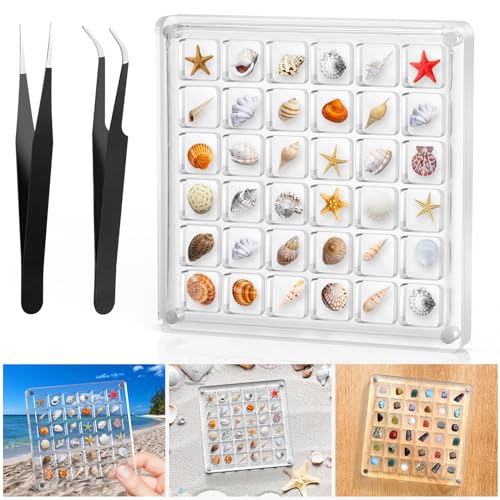 XANGNIER Acrylic Magnetic Seashell Display Box Clear Sea Shell Display Box Beach Magnet Storage Organizer Case for Seashell Diamond Beads 36 Grids Transparent 1 Pack