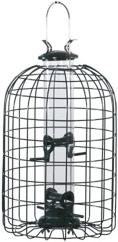 WOODLINK LTD. Audubon Wild Bird 1.25 lb. Plastic/Wire Caged Tube Bird Feeder 4 Ports