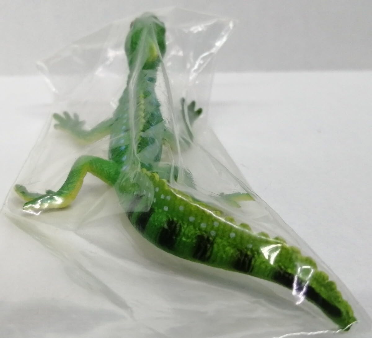 Amazon.co.jp: グリーンバシリスク 原色爬虫類トカゲ図鑑 原色 爬虫類