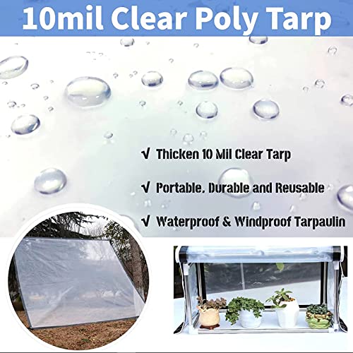 Bâche transparente de 2,1 x 3 m (lot de 2) – Housse d'auvent imperméable très résistante avec œillets pour voiture, bateau, camping, terrasse