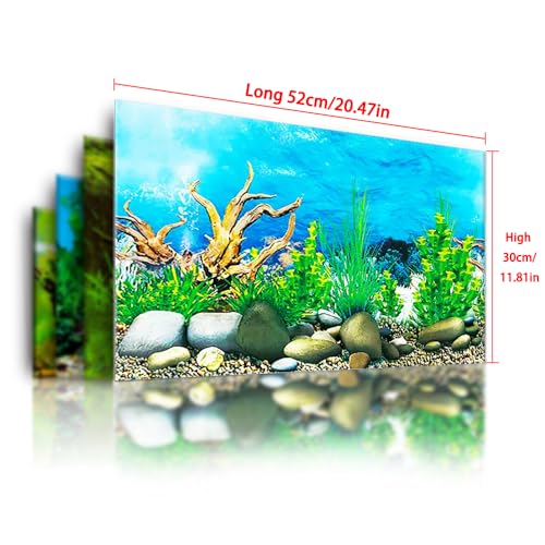 Image of Double-Sided Aquarium Background, Coral Reef and Seabed Design, 12 x 20 Inches, Waterproof (Animal Print A)