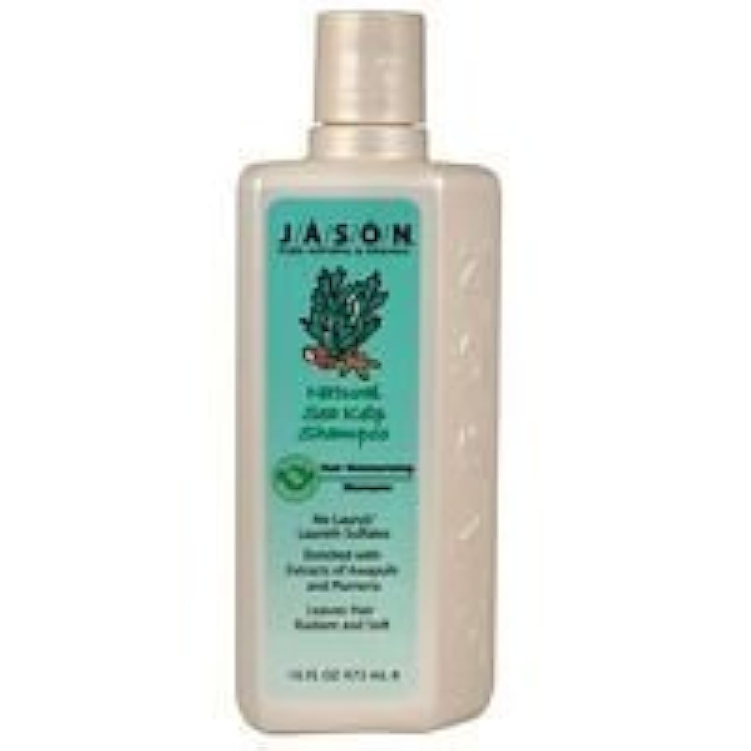 Jason Shampoo Sea Kelp Ntrl Beauty & Personal Care
