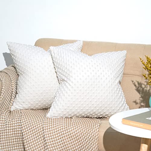PHF Minky Dot Throw Pillow Cover 18"x 18", 2 Pack Soft Cozy Minky Bubble Real Velvet Cushion Cover, No Insert, Home Decorative Pillow Square Pillowcase Shell for Couch Sofa Bed, White