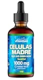 Celulas Madres Stem Cell Support, Plant-Based, Adaptogen Blend,Cordyceps, Rhodiola Rosea, Afa, Astragalus, B Complex, Reishi, Ganoderma, Blue-Green Algae, Spirulina, 1000mg Natural 13 Key Ingredients.