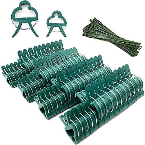MABUSIYI Pflanzenstütz-Clips, 60 Stück, 2 Größen, Befestigungsclips Gartenpflanzen-Clips für Kletterpflanzen, Stützstiele, Ranken, aufrechtes Klettern, Werkzeug zum Glätten, Tomatenkäfig, Rankgitter.