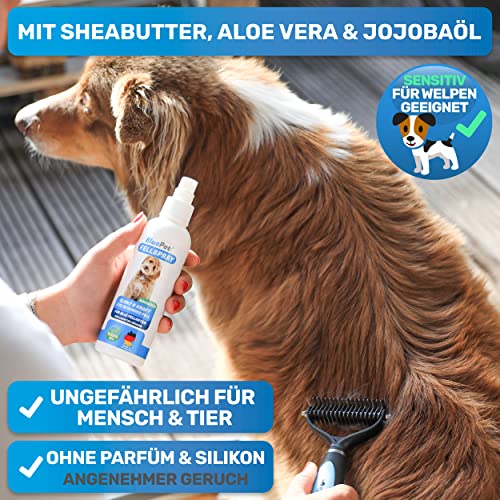 BluePet Entfilzungsspray + Entfilzungskamm für Hunde & Katzen I Entfernt Verfilzungen & Knoten I Entfilzungsharke Katze, Knoten Entferner Katze, Entfilzungskamm Hund