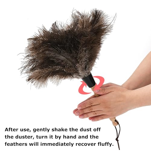 Image of Ostrich Feather Duster 13.39 inch Premium Feather Duster with Wooden Handle Delicate Surfaces Cleaning Supplies for Car Home Office