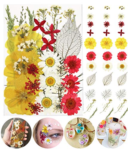 Fleurs pressé séchées naturelles mélangées multiples pour l'artisanat de bricolage-marguerites de colorées pour bricolage bougie résine bijoux ongles pendentif artisanat faisant décors floraux d'art Cover