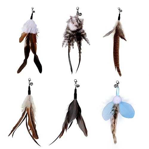 DONGKER Cat Feather Toys - Juego de 6 juguetes para gatos, plumas de repuesto, colgantes con cascabeles…
