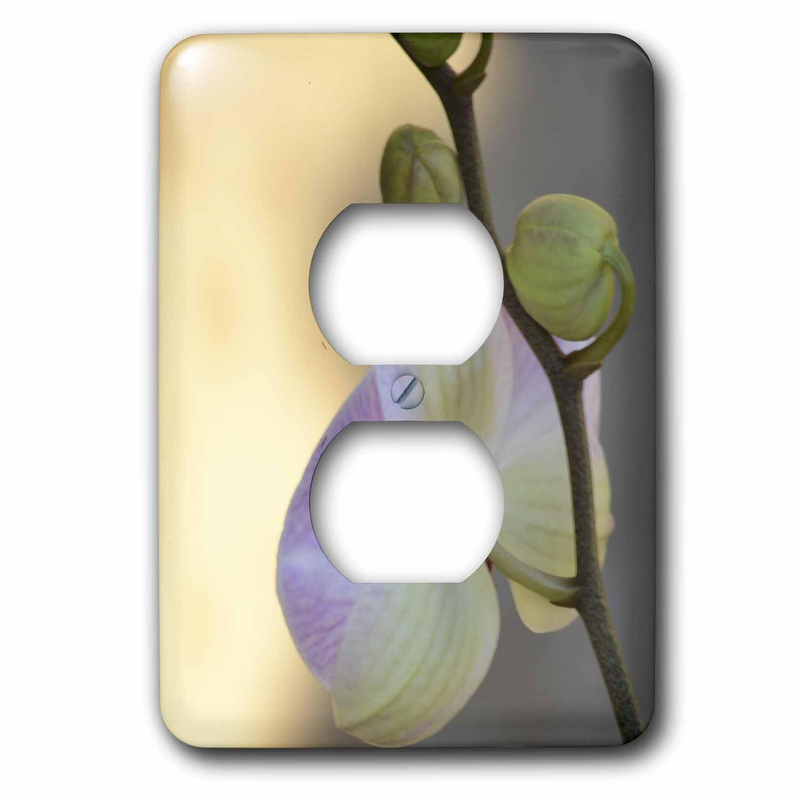 Couvercle de prise motif fleurs d'orchidée pour cacher les plaques électriques usées