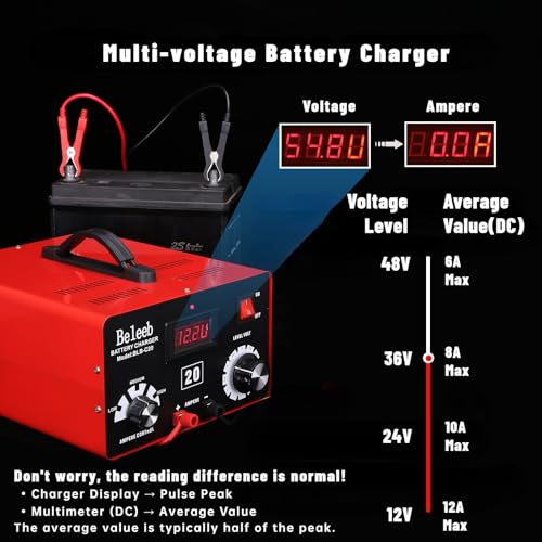 Image of C20 Adjustable Battery Charger 12V 24V 36V 48V, 12A Pulses of High-Voltage Battery Desulfator Maintainer with Smart Chip for Lead-Acid LiFePO4 Lithium Batteries BLB-C20