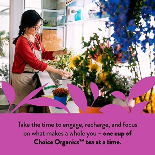 Choice Organics - Organic Darjeeling Tea (6 Pack) - Fair Trade - Compostable - Contains Caffeine - 96 Organic Black Tea Bags #TOP5