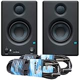 Protección contra sobrecalentamiento, filtro subsónico y conector RCA.