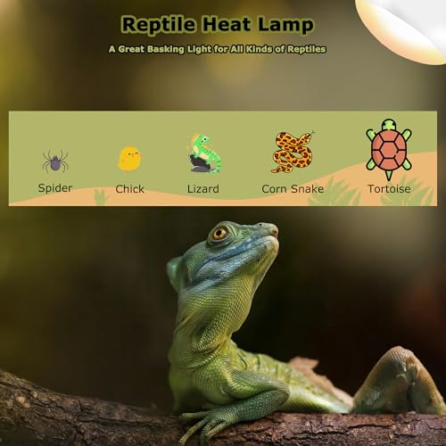 Image of 75W Reptile Heat Lamp Bulbs, 2.5 Inch UVA Amphibian Basking Spot Light for Bearded Dragon, Lizard, Tortoise & Chicks - Simulated Sunlight, Daylight Bulb for Aquariums and Tanks | 2 Pack