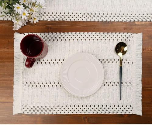 Image of HomeCloud Croshia Woven Table placemat - Heat Resistant, Washable Table Decoration for Dining, Office, Kitchen, Hotel, and Home (Rec White, Set of 2)
