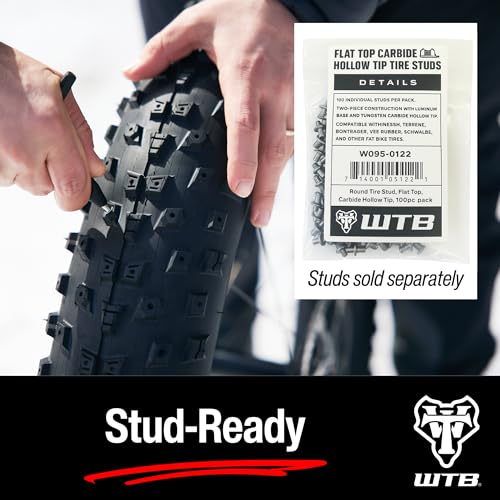 WTB Bailiff Fat Bike Tire