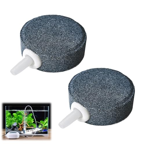 Diffuseur de Pierre d'air pour Aquarium Oxygène, 4 cm, 2 Pierres à Air Rondes - Haute Durabilité et Efficacité pour Aquariums d'Eau Douce, Salée et...