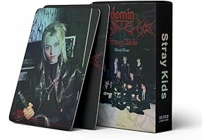 ATE World Tour Lomo Cards Hyunjin Photocards