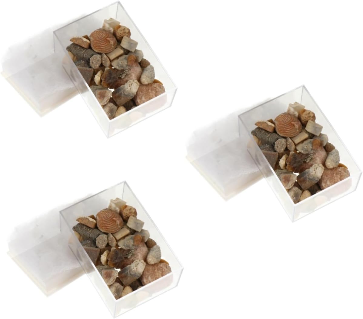 Cabilock Natural Stone Specimens for Geology Education Mixed Ore Sample Kit for Boys and Girls Curiosity Home Decor and Aquarium Box