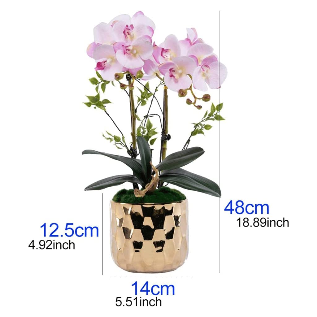 Orchidées Fleurs Artificielles Orchidées Fleurs Artificielles Phalaenopsis avec Pot Garder Les Pétales Pleins et Doux Les Fleurs Artificielles Restent Fraîches Belle Apparence Naturelle
