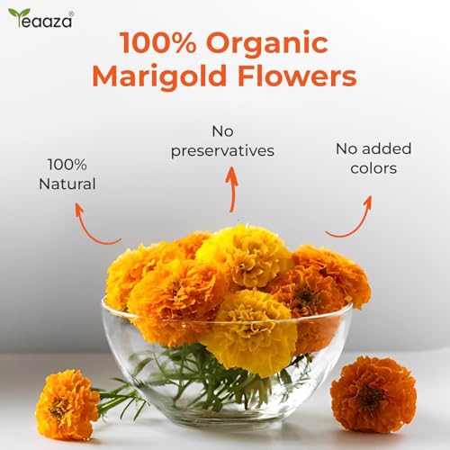 Image of TEAAZA Marigold Flower Tea|Natural Sun Dried Marigold Flower|RELIEVES PAIN|Caffeine Free - Flower Based - Herbal Tea - Gluten Free - Non - Bitter|Marigold Tea Leaves-30 Grams,60 Cups|Reusable Pet Jar
