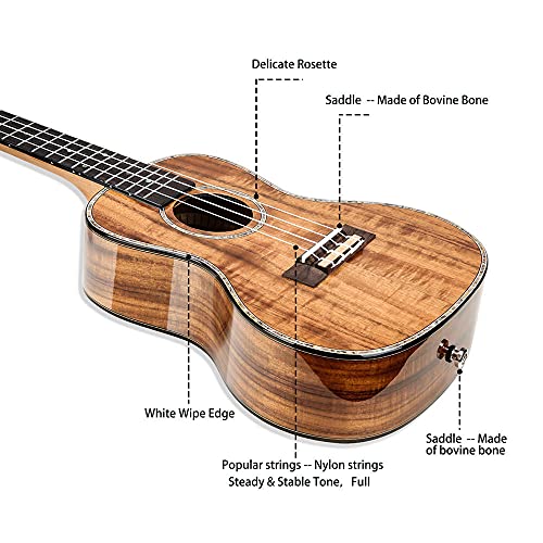 WHYSFX Concert Ukulele Ukulélé en Bois 23 Pouces est Brillant, adapté aux débutants (Size : 23 inches) - Les Beatles, Paul McCartney, John Lennon, RIngo Starr, George Harrison WHYSFX Concert Ukulele Ukulélé en Bois 23 Pouces est Brillant, adapté aux débutants (Size : 23 inches) – Image 5