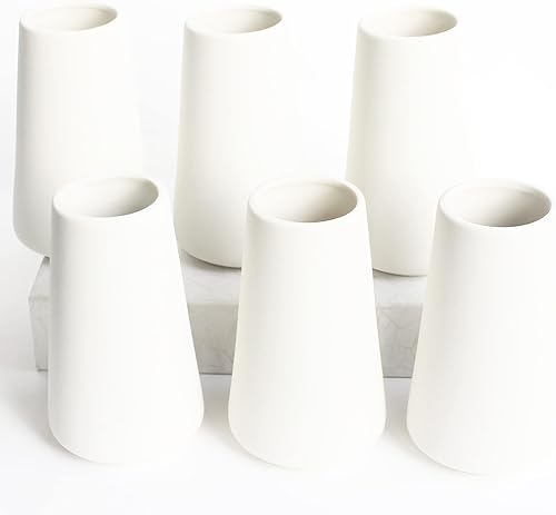 YANLING Jarrón blanco moderno para flores juego de 6 jarrones de cerámica blanca para hierba de las pampas pequeños jarrones bohemios para