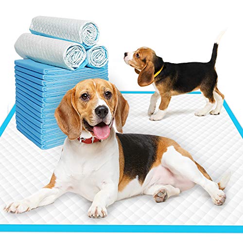 JOINPADS Disposable Dog Pee Pads, Extra-Large Pet Training and Thicker Puppy Pee Pads for Dogs, Dry Quickly, with Fast Absorbent & Leak-Free, for Indoor and Outdoor Use(28