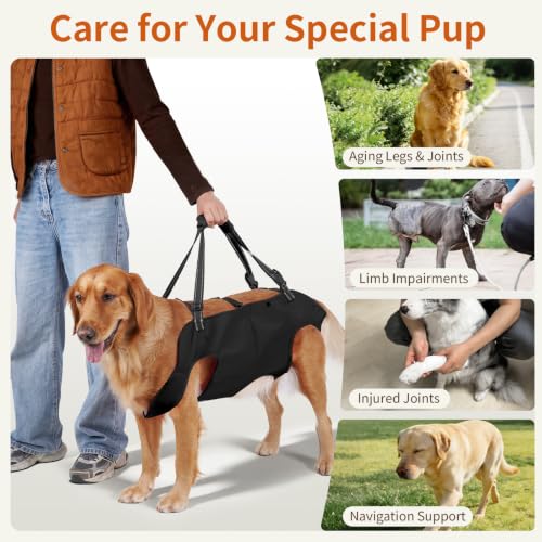 Mayerzon Full Body Dog Lift Harness, Support Senior & Disabled Dogs Walking by Mayerzon - Used condition - Image 3