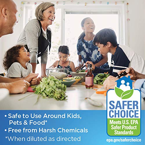 image for Clorox All-Purpose Cleaning System with one Reusable Spray Bottle Plus