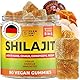 Natural Shilajit Gummibärchen 2200MG – Premium Himalaya Shilajit Gummies mit Löwenmähne, Reishi, Chaga & Cordyceps – Aus dem Himalaja für Energie & Vitalität – 90 Stück