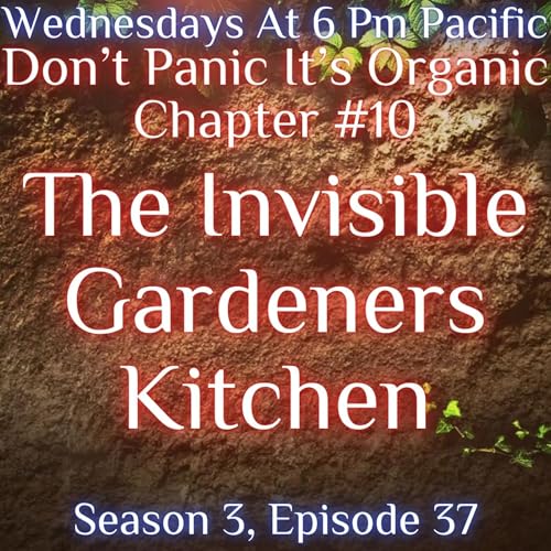 The Invisible Gardeners' Kitchen