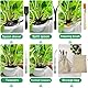 13 Stück Gartenwerkzeug Set, Gartenwerkzeug mit Aufbewahrungsbeutel, Bonsai Werkzeug, Bonsai Zubehör, Bonsai Werkzeug Set Geeignet für Innen und Außenbereich Blumen Garten Gemüse Pflanzen (Schwarz)
