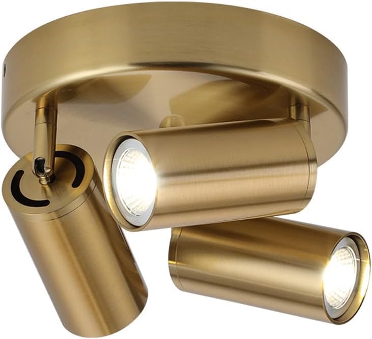 3-Light Ceiling Spotlight Fixture Indoor Round Ceiling Spot Lighting Adjustable Art Lights Industrial Directional Track Light Led for Living Room Dining Room Offices Picture Wall Kitchen Gu10