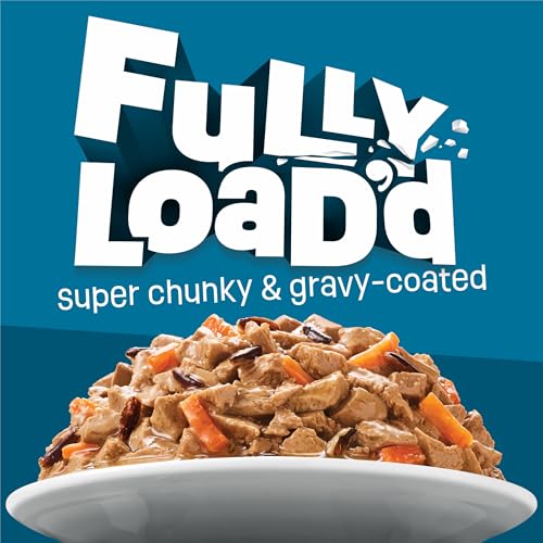 Friskies Purina Fully Load'd Wet Cat Food, Salmon, 24 Count, 5.5 oz - image 2
