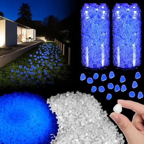 Sasylvia 6000 Glow in The Dark Rocks Cover