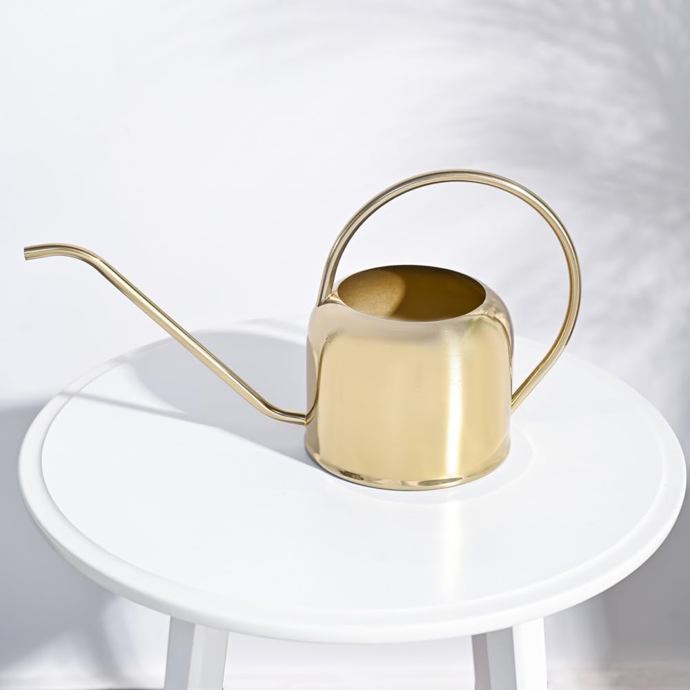 UGAOO Magnum Metal Watering Can (Gold, 2 Litre) with Long Spout for Indoor and Outdoor Gardening (B0CBSDPKMD) Amazon Price History, Amazon Price Tracker