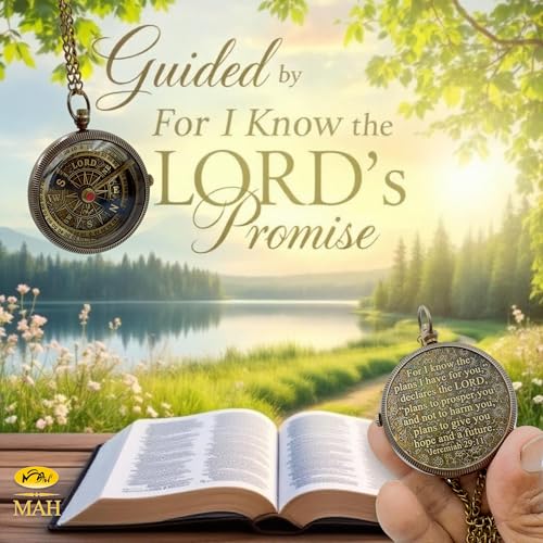 View 5