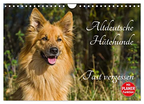 Altdeutsche Hütehunde - Fast vergessen (Wandkalender 2026 DIN A4 quer),