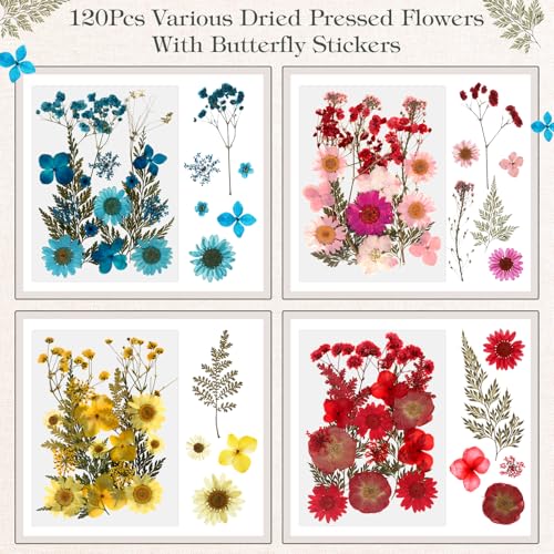 Conjunto de 2 Marcos de Fotos en Vidrio con Flores Secas miniatura 3
