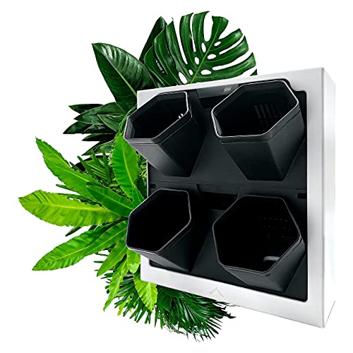 Steady Home Self-Watering Wall-Mounted Planter Indoor/Outdoor Decor with 4 Pots, Easy to Use Living Wall Planters to Create Vertical Garden, Vertical Planter for Home(White) - Image 3