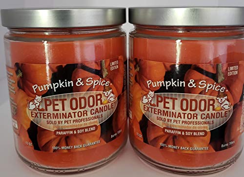 SPECIALTY PET PRODUCTS Pet Odor Exterminator Candle, Pumpkin Spice - Pack of 2