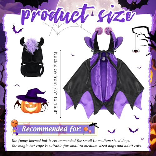 Disfraz Halloween para perros y gatos Hechicera 2 piezas miniatura 3