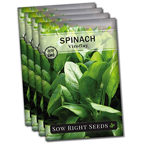 Sow Right Seeds - Viroflay Spinach Seed for Planting - Non-GMO...