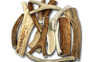 Premium ONE Pound XL Antler Variety Pack, Top Dog Chews for Large Dogs