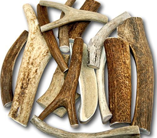 Top Dog Chews – Large Variety Pack, Premium, Grade A, Antlers for Large, Medium or Small Dogs, Antlers from Deer, Elk, & Moose Included,…