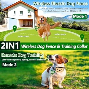 2-in-1-Wireless-Electric-Dog-Fence-3-Dogs-System-Dog-Training-Collar-with-Remote-Wireless-Containment-System-Adjustable-Vibration-Shock-Waterproof-Dogs-Training-Collar-for-All-Dogsfor2do - Cucciolini Doodles   2-in-1-Wireless-Electric-Dog-Fence-3-Dogs-System-Dog-Training-Collar-with-Remote-Wireless-Containment-System-Adjustable-Vibration-Shock-Waterproof-Dogs-Training-Collar-for-All-Dogsfor2do