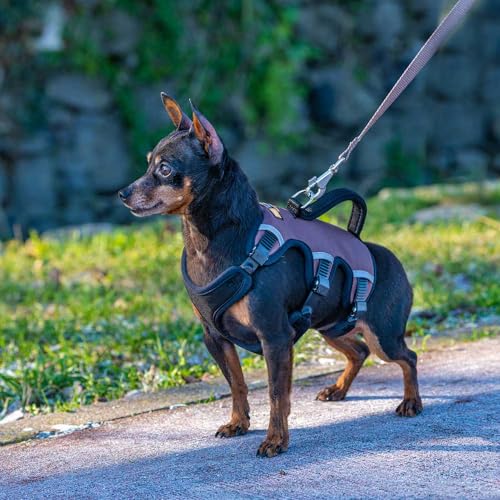 Harnais pour petits chiens réfléchissant Ferplast réglable 6 points - 4